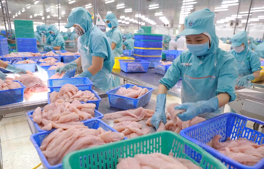 Ожидается, что экспорт водной продукции восстановится с конца третьего квартала ảnh 1