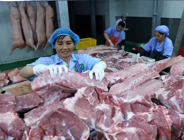 Высокий экспорт продукции на животноводства на фоне падения экспорта сельскохозяйственной продукции ảnh 1