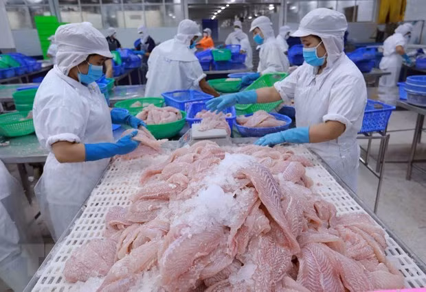 Экспорт сельскохозяйственной, лесной и рыбной продукции сократился на 9,5% за восемь месяцев ảnh 1 Экспорт сельскохозяйственной, лесной и рыбной продукции сократился на 9,5% за восемь месяцев ảnh 1