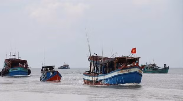 Заместитель министра проинспектировал борьбу Хайфона с ННН-промыслом ảnh 2