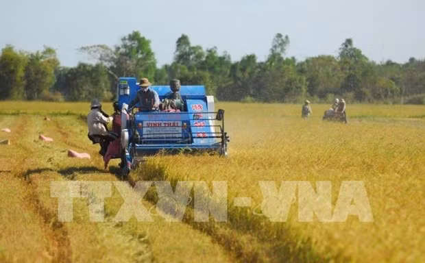 Форум Mekong Connect 2021 состоится 17 декабря в Хошимине ảnh 1 Форум Mekong Connect 2021 состоится 17 декабря в Хошимине ảnh 1