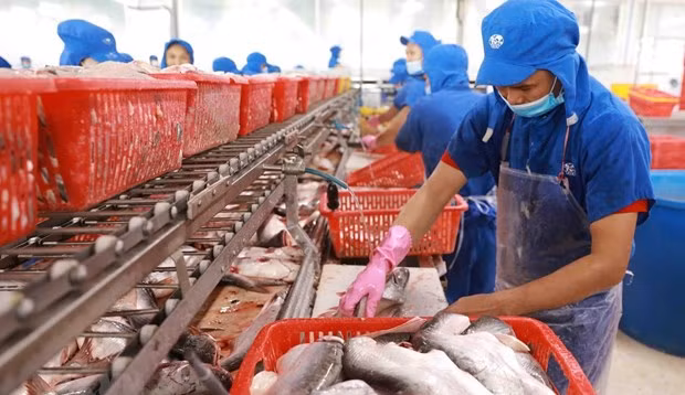 Возможности для экспорта морепродуктов из Вьетнама в Канаду по-прежнему велики ảnh 1