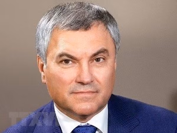 Председатель Государственной Думы перенес свой визит во Вьетнам ảnh 1