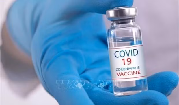 7 млн. доз вакцины против COVID-19 для детей прибудут во Вьетнам в этом месяце ảnh 2 7 млн. доз вакцины против COVID-19 для детей прибудут во Вьетнам в этом месяце ảnh 2