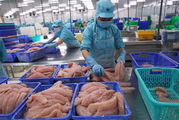 У вьетнамской сельскохозяйственной продукции есть шансы укрепить позиции на мировом рынке ảnh 1