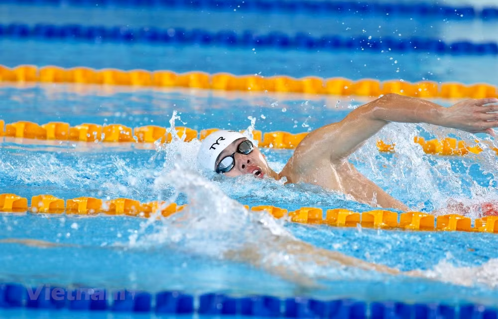 Вьетнам отправит 32 пловца на предстоящие Игры SEA Games ảnh 1