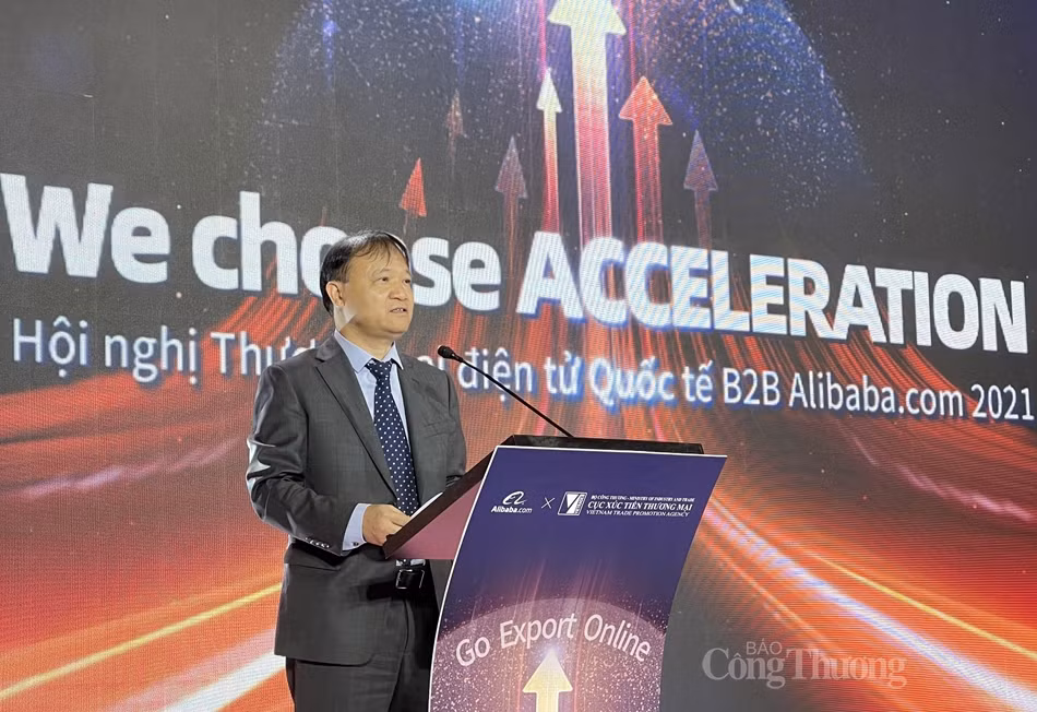 Сотрудничество с Alibaba.com в развитии интернет-экспорта ảnh 2