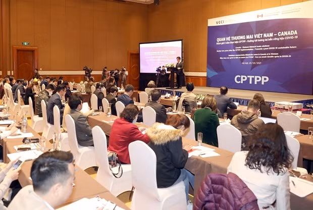 CPTPP способствует развитию торговых связей Вьетнама и Канады ảnh 1
