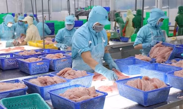 Стоимость экспорта рыбной продукции выросла на 38% за 9 месяцев ảnh 1