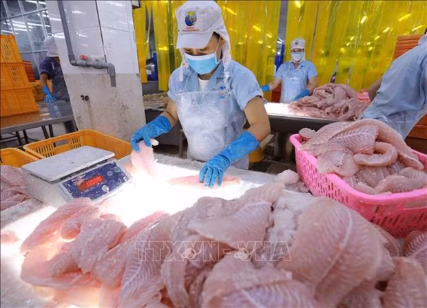 Экспорт рыбной продукции достигнет 10 млрд. долл. США ảnh 2