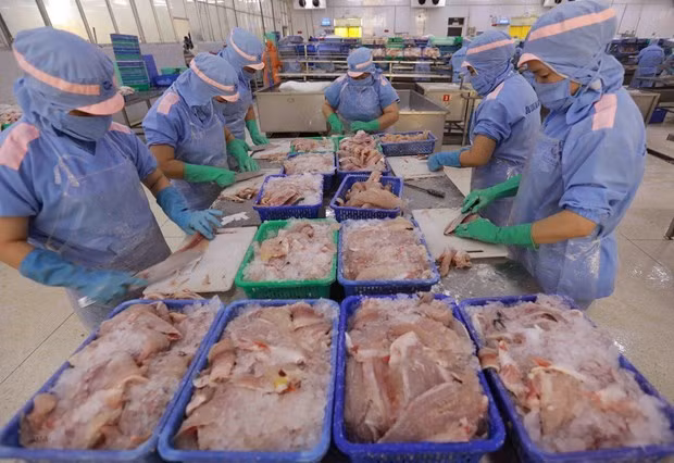 Предприятия, занимающиеся производством продуктов питания и напитков, гибко корректируют стратегии поставок на конец года для ảnh 1