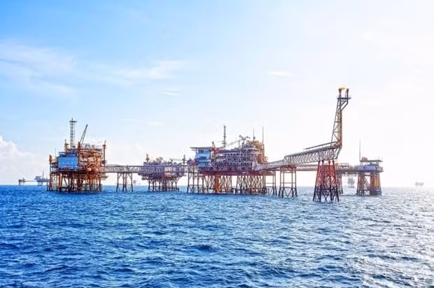 PetroVietnam внедряет меры по созданию условий для энергетического перехода ảnh 1