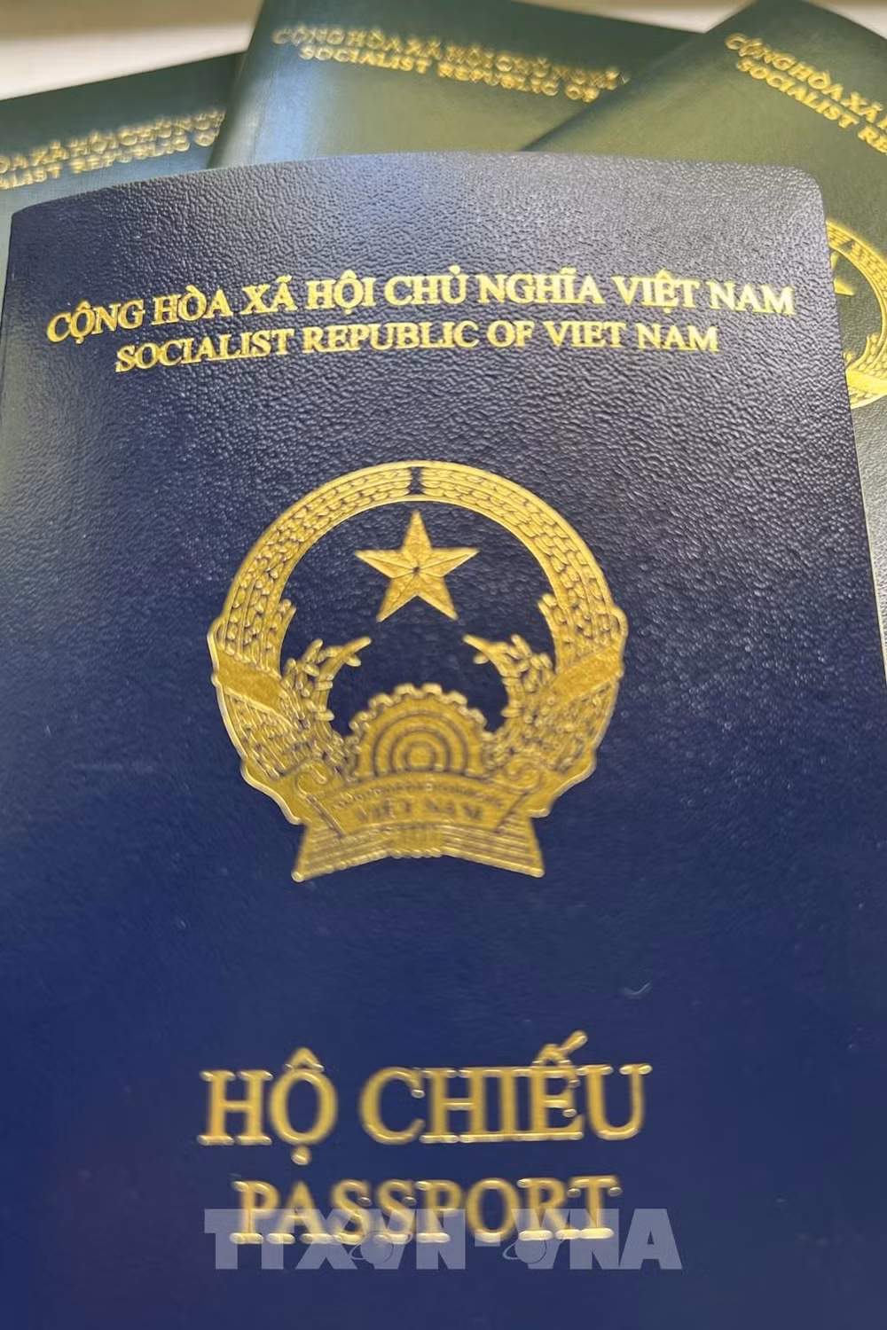 Вьетнам активно обсуждает с немецкой стороной в связи с проблемой с паспортом нового образца ảnh 2 Вьетнам активно обсуждает с немецкой стороной в связи с проблемой с паспортом нового образца ảnh 2