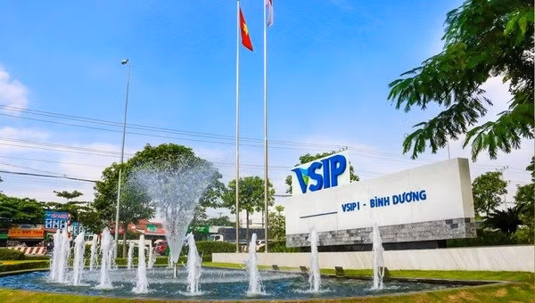 Вице-премьер Сингапура высоко оценил модель VSIP ảnh 2