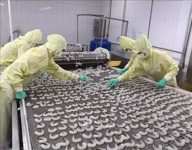Общий объем вылова рыбы достиг 6,75 млн. тонн за 9 месяцев ảnh 1