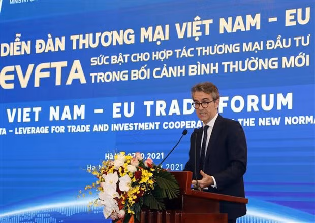 EVFTA служит рычагом для вьетнамских фирм из ЕС ảnh 3