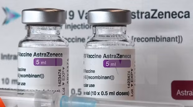 Хорватия и Венгрия помогают Вьетнаму в борьбе с COVID-19 ảnh 1