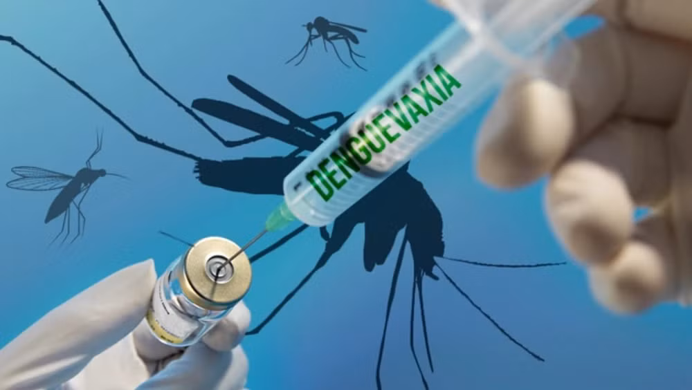 Вьетнам примет участие в тестировании японской вакцины против денге ảnh 1 Вьетнам примет участие в тестировании японской вакцины против денге ảnh 1
