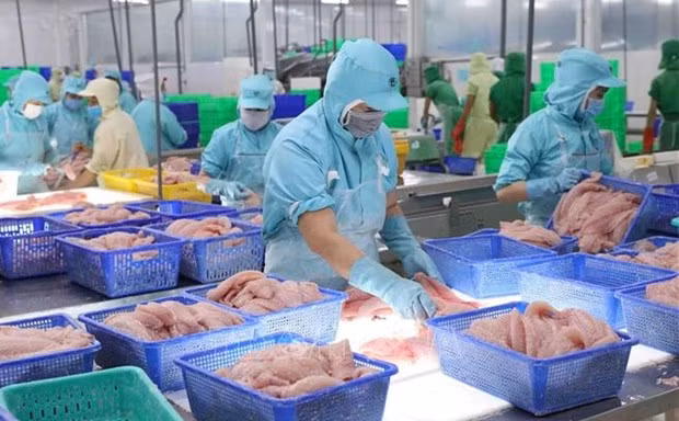 Экспорт морепродуктов в конце года вновь оживился ảnh 1