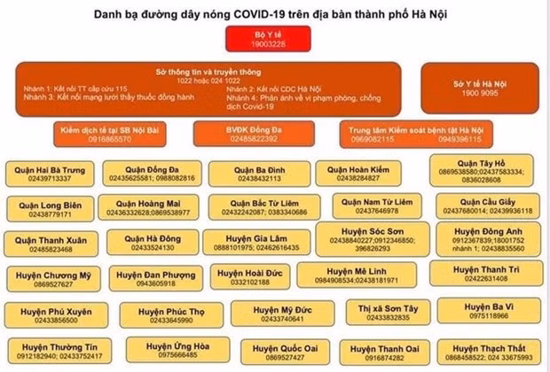 В Ханое открываются горячие линии по COVID-19 ảnh 1