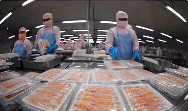 Экспорт рыбных продуктов в первом полугодии восстановится незначительно ảnh 1