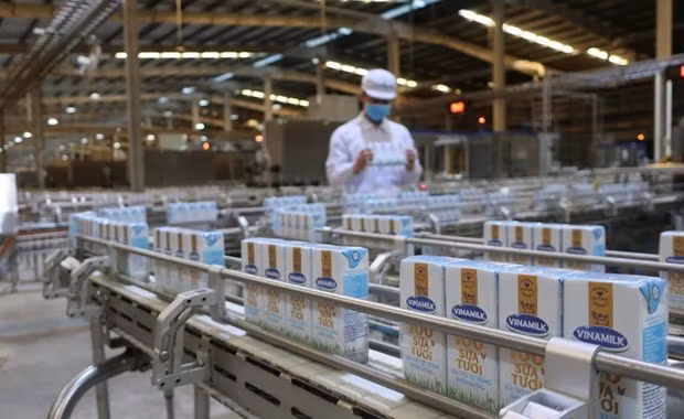 Еще два вьетнамских производителя молочной продукции получили лицензию на экспорт в Китай ảnh 1