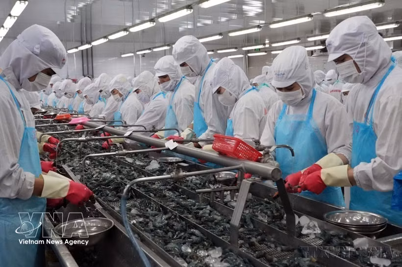 Рыбная продукция — одна из товарных категорий, получивших заметные преимущества после вступления в силу Соглашения о свободной торговле между Вьетнамом и ЕАСТ (VEFTA). Источник: ВИА