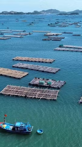 Морская аквакультура — новый драйвер морской экономики Вьетнама