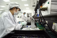 Производство электронных компонентов на заводе компании Star Engineers Vietnam Co., Ltd. в промышленном парке Биньсюен. Фото: ВИА