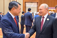 Премьер-министр Ле Минь Хынг провёл краткую встречу с Президентом Российской Федерации Владимиром Путиным. Фото: ВИА.