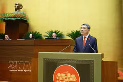 Премьер-министр Правительства Ле Минь Хынг выступает с инаугурационной речью. (Фото: ВИА)