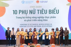 10 выдающихся вьетнамских женщин, удостоенных признания ФАО. Фото: nongthonviet.vn