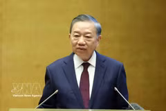 Генеральный секретарь, Президент государства То Лам выступает с руководящими указаниями. Фото: ВИА
