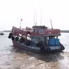 Все рыболовные суда, осуществляющие деятельность в Камау, обязаны использовать электронную систему документации и прослеживаемости улова (eCDT) при входе в установленные рыболовные порты и выходе из них. (Фото: ВИА) 