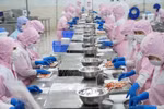 Рыбное хозяйство Вьетнама диверсифицирует экспортные рынки и продукцию. Фото: VASEP.