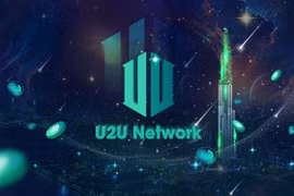 Токен «Сделано во Вьетнаме» планируется разместить на бирже Kraken