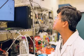 CO2L Tech провела пилотное тестирование технологии на заводе Helen SR & Tech Development Co., LTD (Фото: baodautu.vn)