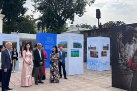 Делегаты знакомятся с выставочным пространством (Фото: baochinhphu.vn)