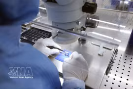 Проверка качества электронных комплектующих перед завершающим этапом производства на заводе компании MCNEX VINA Co., Ltd. (100% южнокорейский капитал) в промышленной зоне Фукшон провинции Ниньбинь (Фото: ВИА) 