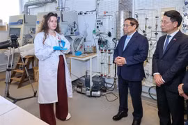 Премьер-министр Фам Минь Тьинь провёл рабочую встречу с ядерной лабораторией при Королевском технологическом институте Швеции (Фото: ВИА)