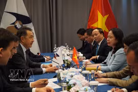 Вице-президент Во Тхи Ань Суан встретилась с Председателем Евразийской экономической комиссии (Фото: ВИА)