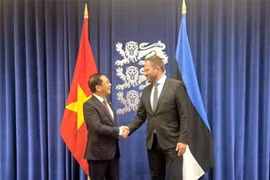 Заместителя премьер-министра и министра иностранных дел Вьетнама Буй Тхань Шон встретился с министром иностранных дел Эстонии Маргусом Цахкна (Фото: ВИА)