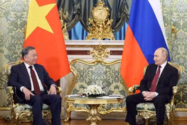 Генсек То Лам провел встречу с президентом России Владимиром Путиным (Фото: ВИА)