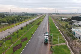 Зелёные оттенки на дороге, ведущей к аэропорту Лонгтхань