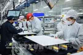 Производственная деятельность компании с ограниченной ответственностью Regza Vietnam Electronics, расположенной на территории провинции Донгнай (Фото: ВИА)