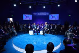Премьер-министр Фам Минь Тьинь принимает участие в политическом диалоге с председателем и генеральным директором ВЭФ Борге Бренде (Фото: ВИА)