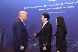 Президент Лыонг Кыонг с Президентом США Дональдом Трампом (Фото: ВИА)