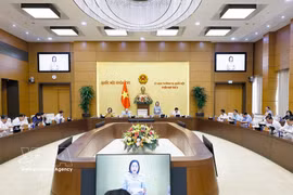 Заместитель председателя НС Нгуен Тхи Тхань выступает на заседании (Фото: ВИА)