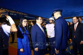 Премьер-министр Фам Минь Тьинь прибыл в Бразилию для участия в расширенном саммите БРИКС. Фото: ВИА.