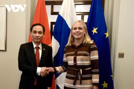 И. О. министра иностранных дел Вьетнама встретился с министром иностранных дел Финляндии (Фото: VOV)